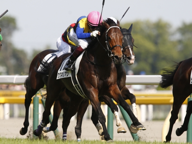 【ジャパンC】ワグネリアンは2枠2番