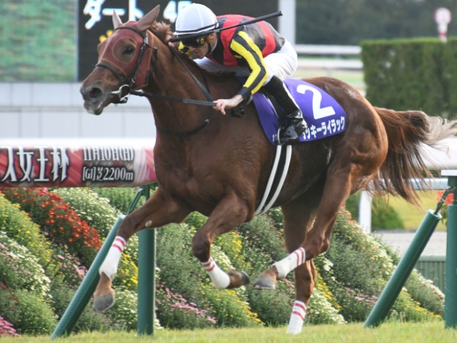 ラッキーライラック、香港ヴァーズへ