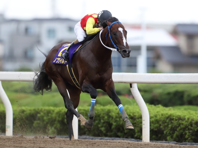 今週は興味深いレースが多いです！