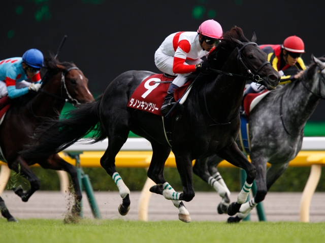 今週はGIマイルCS、GIII東京スポーツ杯2歳Sがあります