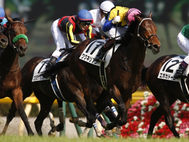 混戦模様のジャパンC、京都では京阪杯も