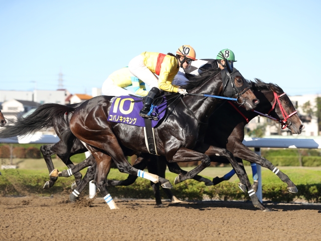 【カペラS】コパノキッキング、藤田菜七子騎手で連覇へ！