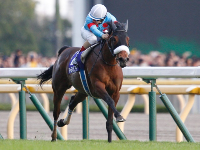 【2019年有馬記念】ファン投票最終結果！（上位馬まとめ）