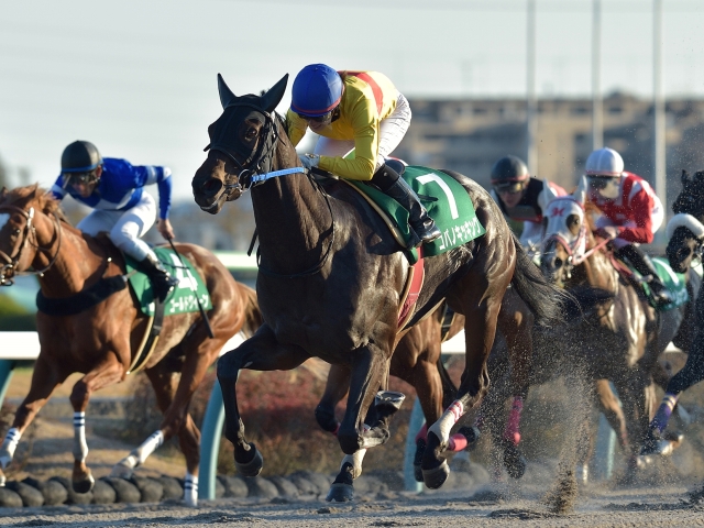 【カペラS】コパノキッキング2連覇！藤田菜七子騎手JRA重賞初制覇！