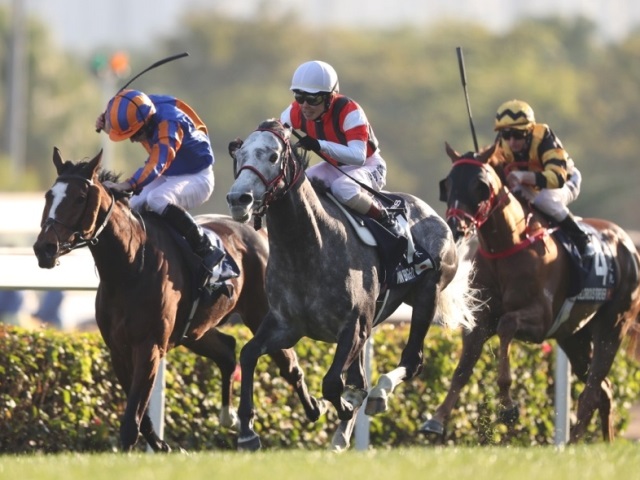 【有馬記念】ウインブライト回避、来年の中山記念で始動