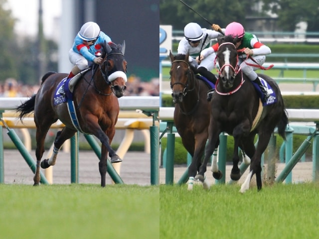 【有馬記念】超豪華メンバー！注目ポイントは？