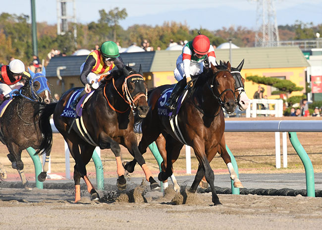 【東京大賞典】ゴールドドリーム vs オメガパフューム