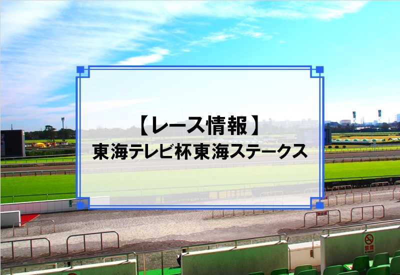 「東海テレビ杯 東海ステークス」レース情報